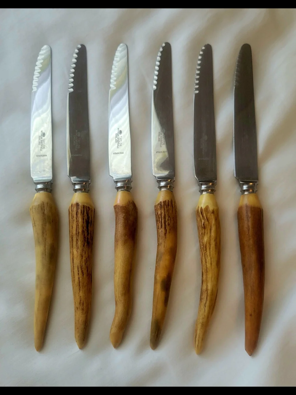 Vintage Taylor's Eye Witness Sheffield Steak Knives Stag/ Antler, Set of 6